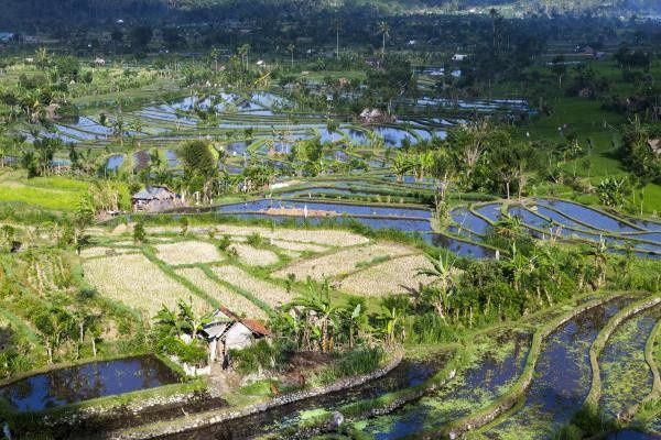 Circuit Merveilles de Bali pas cher photo 12
