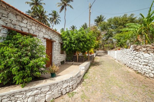 Circuit Santiago, île nature et culture du Cap-Vert 3* pas cher photo 12