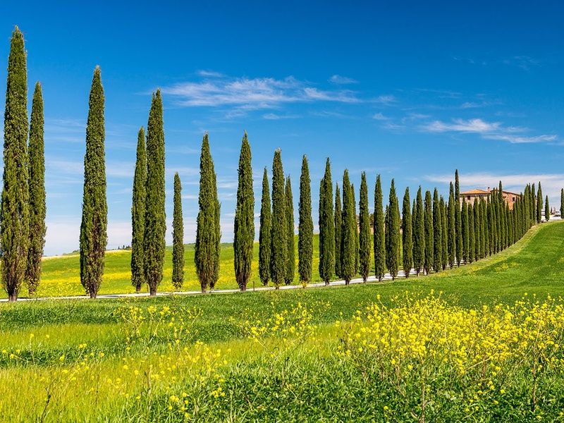 Circuit Les villes mythiques d'Italie pas cher photo 13