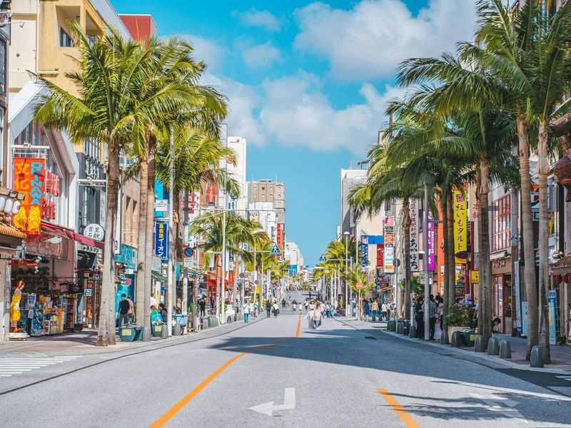 Paradis Japonais: Tokyo, Kyoto, Osaka et plages d'Okinawa en 3* ou 4* pas cher photo 2