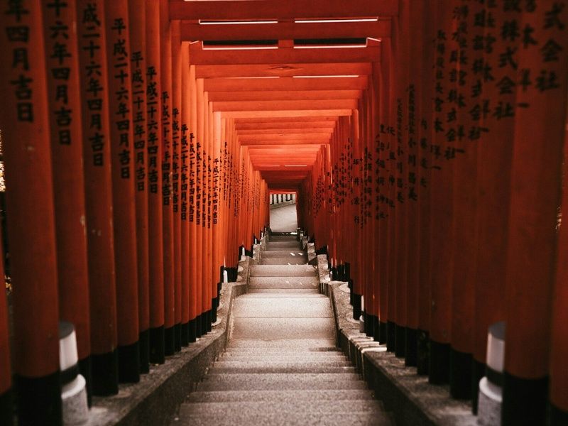 Paradis Japonais: Tokyo, Kyoto, Osaka et plages d'Okinawa en 3* ou 4* pas cher photo 4