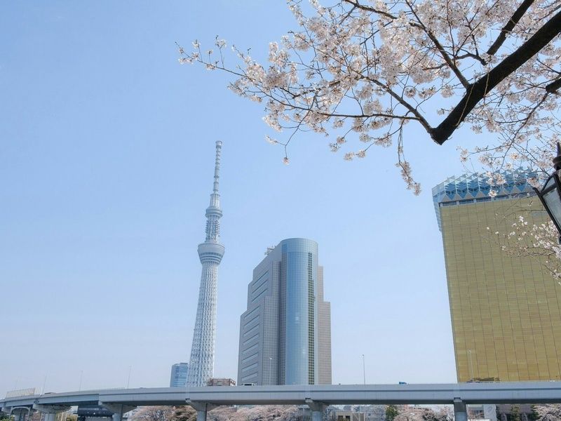 Paradis Japonais: Tokyo, Kyoto, Osaka et plages d'Okinawa en 3* ou 4* pas cher photo 14