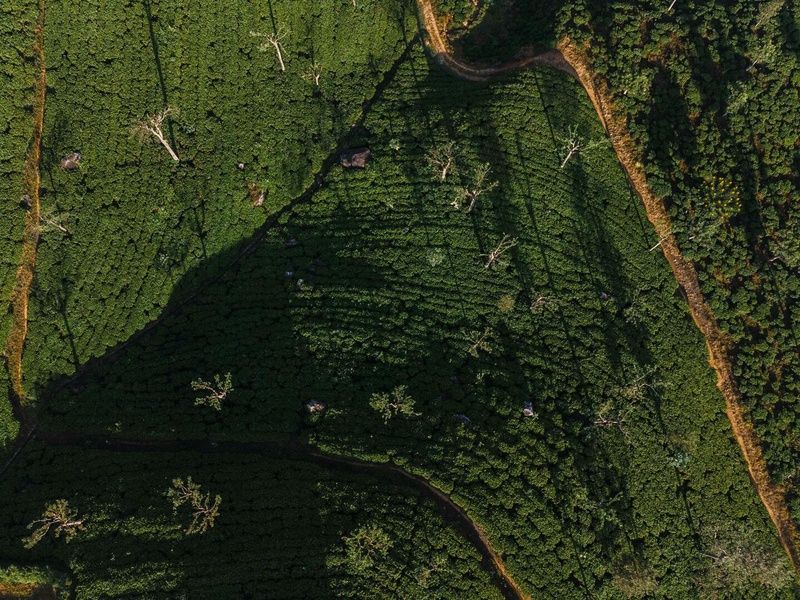 Circuit Quiétude sur l'île émeraude pas cher photo 13