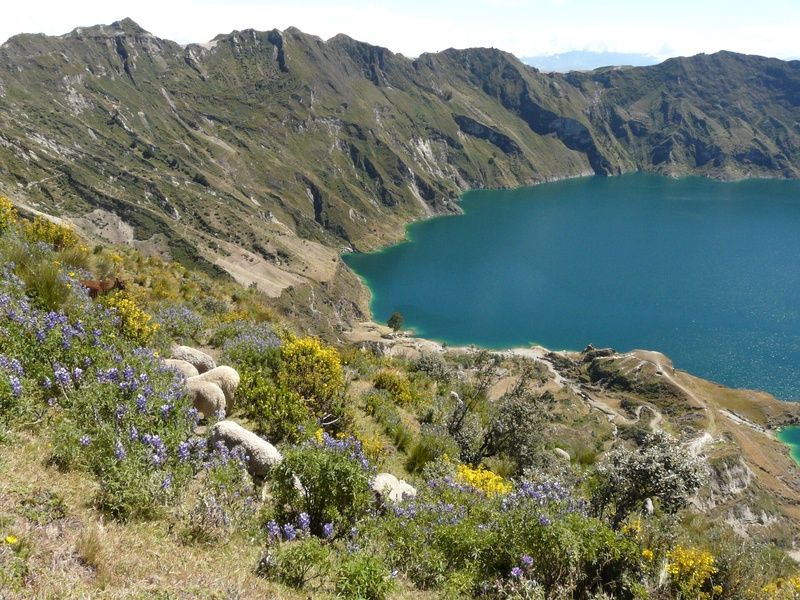 Circuit Sur la Route des Volcans pas cher photo 10