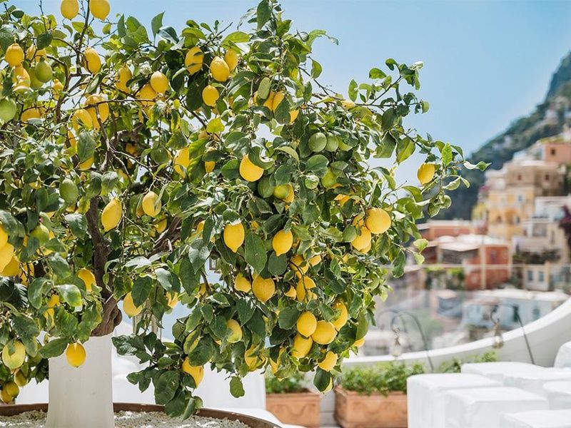 Autotour l'Essentiel de la Côte Amalfitaine 4 6N pas cher photo 9