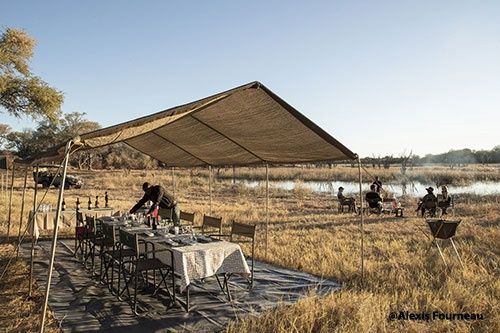 Immersion au Botswana 11J/8N - 2025 pas cher photo 3