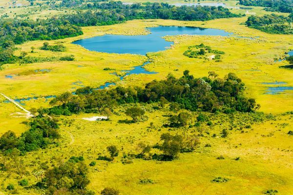 Immersion au Botswana 11J/8N - 2025 pas cher photo 7