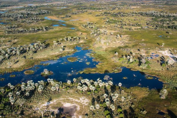 Immersion au Botswana 11J/8N - 2025 pas cher photo 9