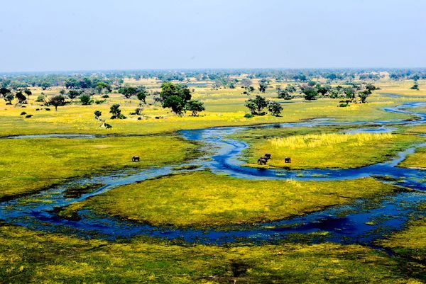Immersion au Botswana 11J/8N - 2025 pas cher photo 11