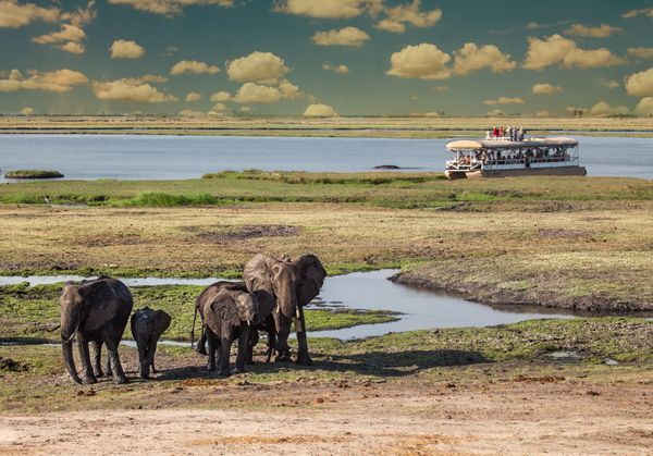 Immersion au Botswana & Extension Chutes Victoria 13J/10N - 2025 pas cher photo 1