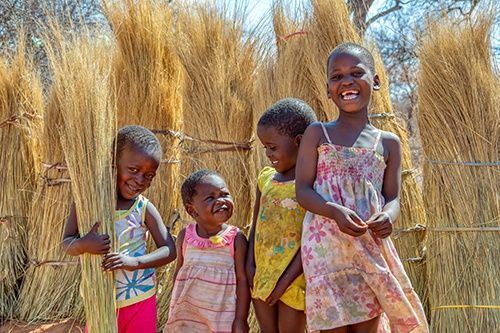 Immersion au Botswana & Extension Chutes Victoria 13J/10N - 2025 pas cher photo 2
