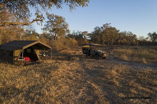 Immersion au Botswana & Extension Chutes Victoria 13J/10N - 2025 pas cher photo 5