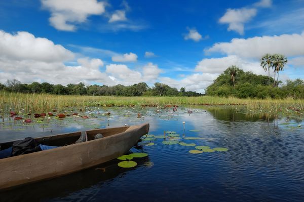 Immersion au Botswana & Extension Chutes Victoria 13J/10N - 2025 pas cher photo 9