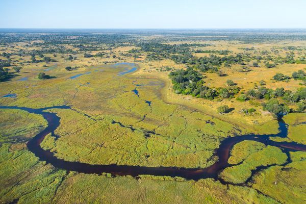 Immersion au Botswana & Extension Chutes Victoria 13J/10N - 2025 pas cher photo 16