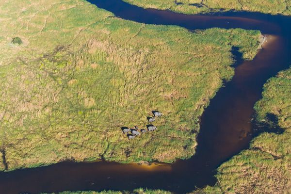 Immersion au Botswana & Extension Chutes Victoria 13J/10N - 2025 pas cher photo 17