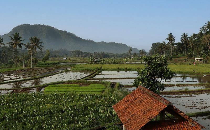 Circuit Irrésistible Bali pas cher photo 11
