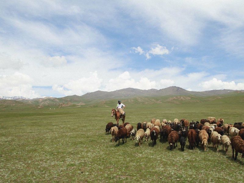 Circuit Grande transhumance automne pas cher photo 1