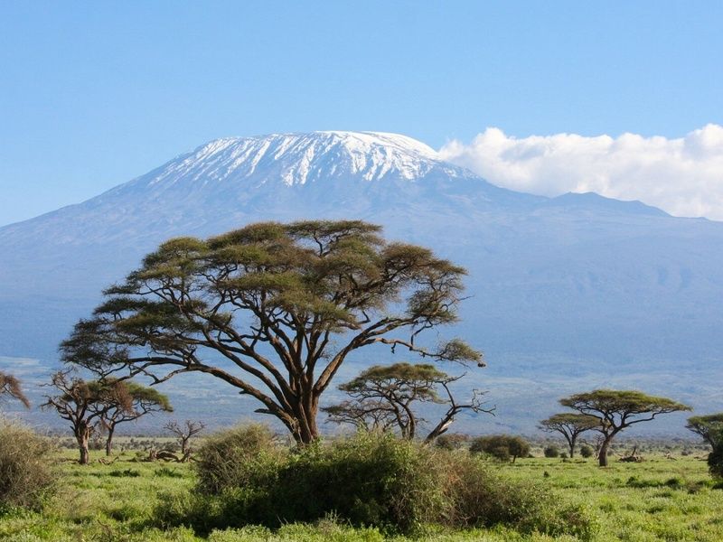 Circuit Découvertes Kenyanes et séjour hôtel Leopard Beach Resort 4* pas cher photo 2