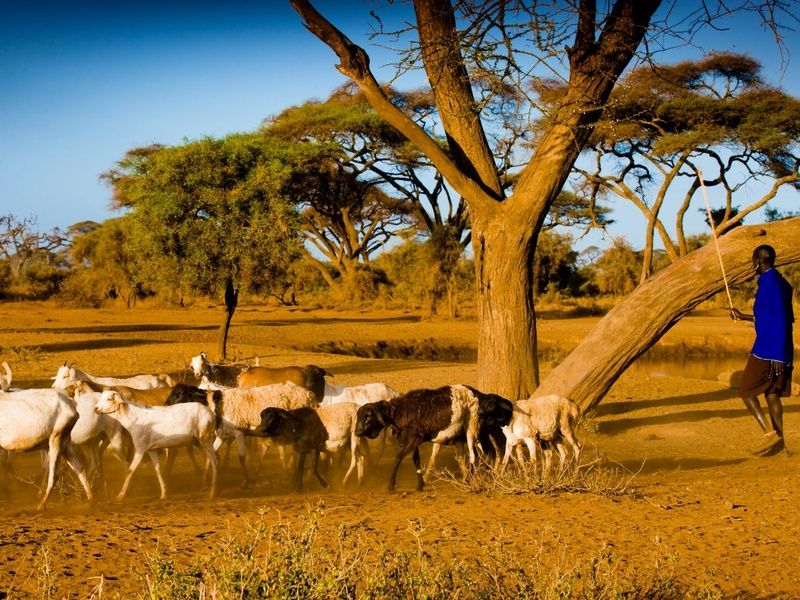 Circuit Découvertes Kenyanes et séjour hôtel Leopard Beach Resort 4* pas cher photo 7
