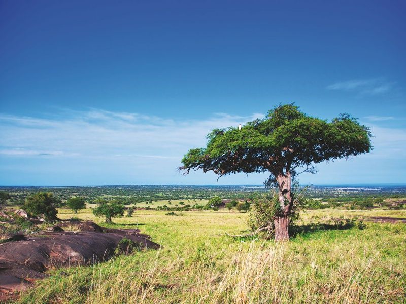 Combiné Kenya Tanzanie et Balnéaire à Zanzibar pas cher photo 7