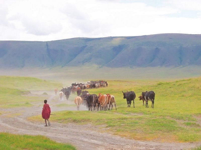 Combiné Kenya Tanzanie et Balnéaire à Zanzibar pas cher photo 9