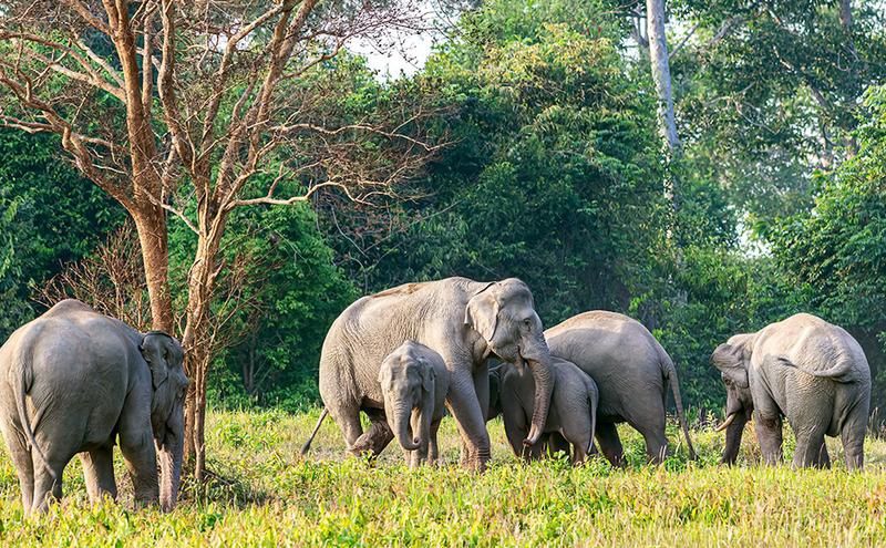 THAÏLANDE | 13j/10n - Circuit "Trésors authentiques du Siam 4*" avec possibilité d'extension balnéai pas cher photo 12