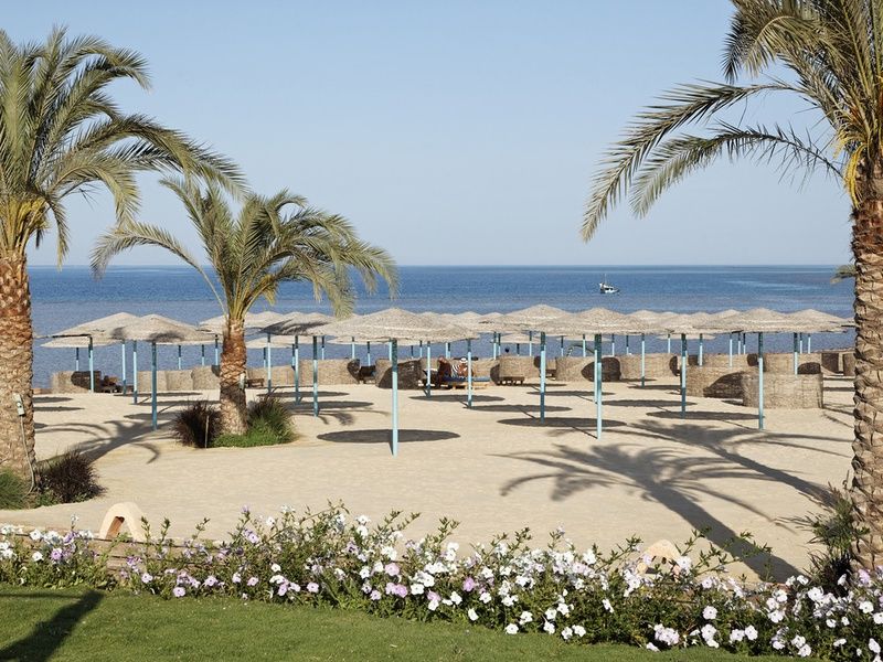 Nil Authentique en Dahabeya et Three Corners Sunny Beach Hurghada pas cher photo 15