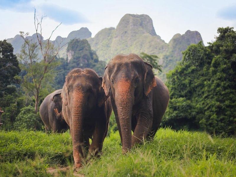 Circuit Privatif Aventure dans le sud de la Thailande pas cher photo 22