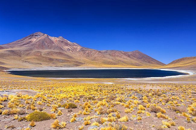 Circuit Beautés sauvages du Chili et Ile de Pâques 2020 - 18 personnes maximum pas cher photo 9