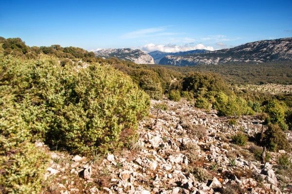 Autotour Magnifiques Routes Sardes en liberté pas cher photo 10