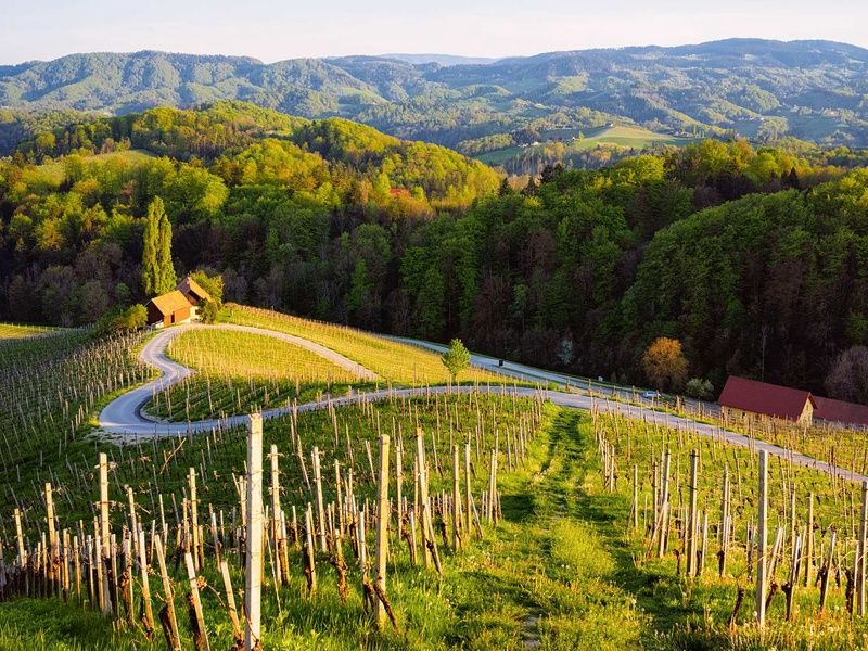 Autotour Sur la route : Slovénie pas cher photo 10