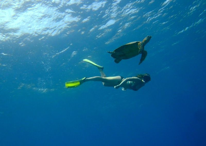 Circuit en liberté entre Bali et Gili Trawangan pas cher photo 7