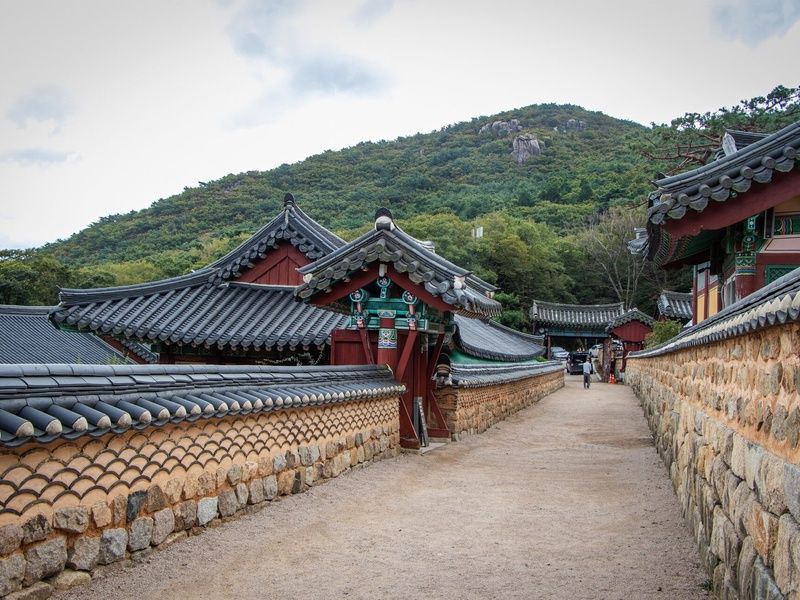 A la Découverte de Suncheon pas cher photo 7