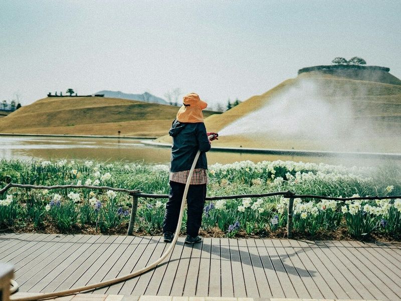 A la Découverte de Suncheon pas cher photo 12