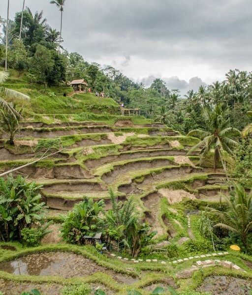 Evasion au Sud de Bali - Circuit Privatif pas cher photo 7