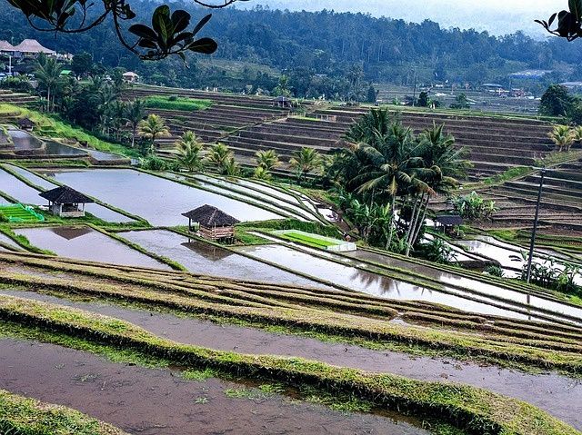 Evasion au Sud de Bali - Circuit Privatif pas cher photo 11
