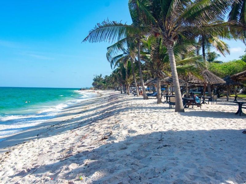 Combiné Safari Hakuna Matata + Jacaranda Indian Ocean Beach 4* pas cher photo 6