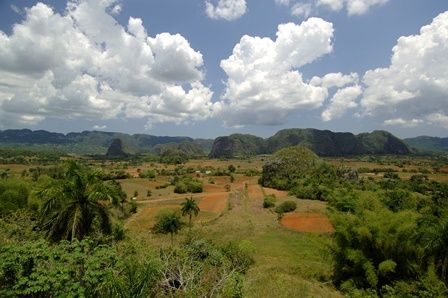 Trésors de Cuba - Saison 2025/2026 pas cher photo 2
