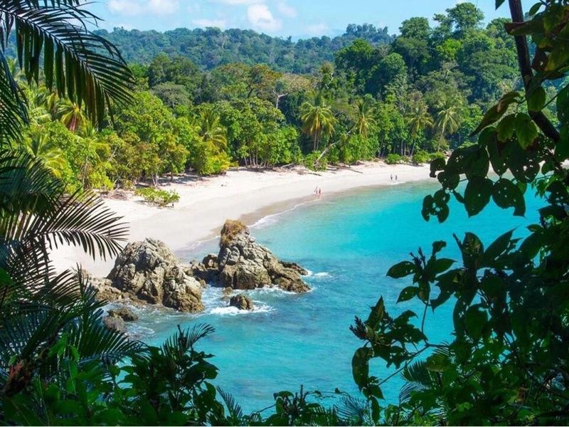 Circuit Liberté de Tortuguero aux Plages du Pacifique pas cher photo 1