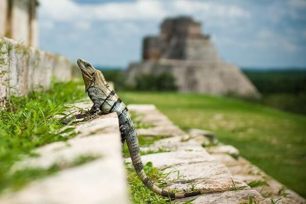 Circuit Odyssée Mexicaine : De Mexico au Yucatan pas cher photo 49