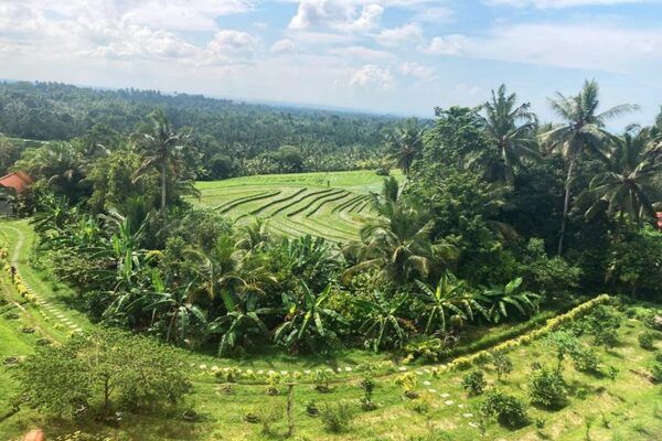 Circuit Bien-Être à Bali en Privatif pas cher photo 18