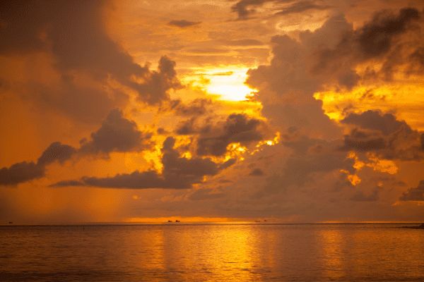 Circuit Dame Nature de Ceylan... for Women Only pas cher photo 21