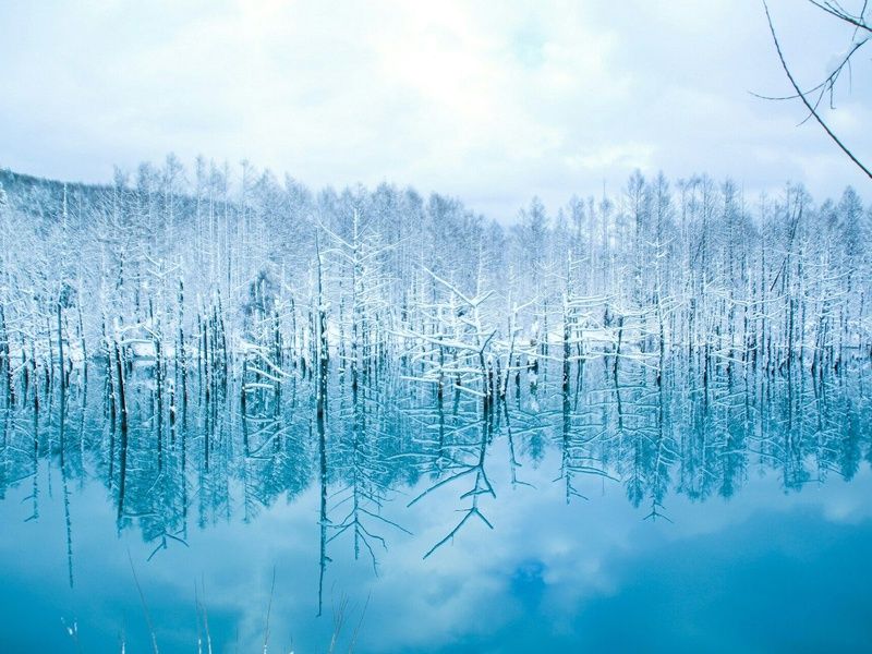 A la découverte d'Hokkaido pas cher photo 1