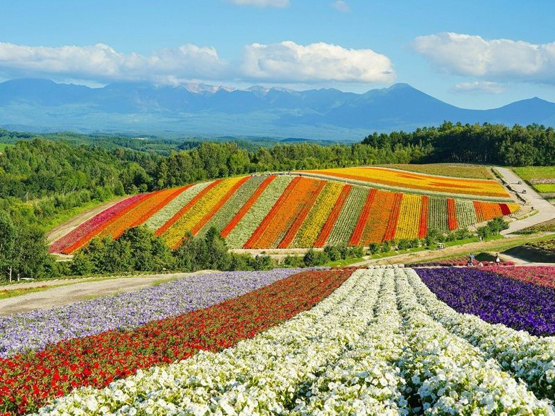 A la découverte d'Hokkaido pas cher photo 2