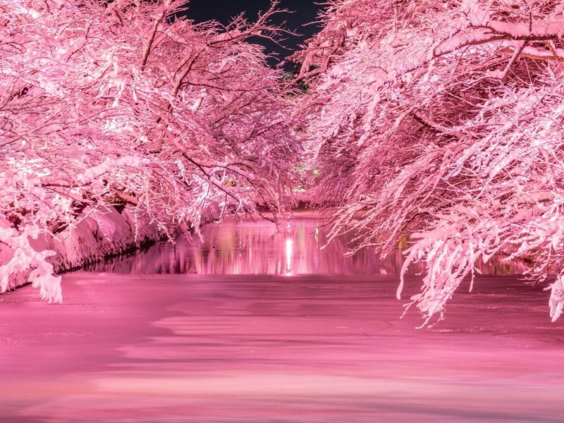 A la découverte d'Hokkaido pas cher photo 10