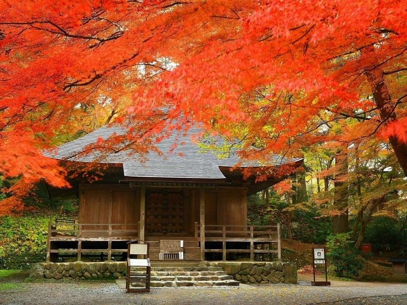 A la découverte d'Hokkaido pas cher photo 16