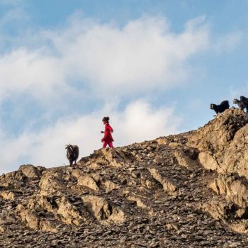 Des sentiers aux plateaux de l'Altaï pas cher photo 2