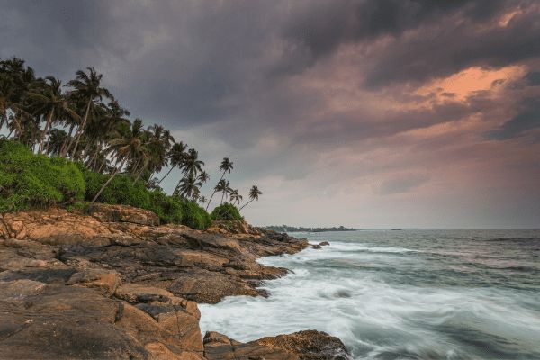 Circuit Le Royaume des Eléphants et plage en privatif pas cher photo 27
