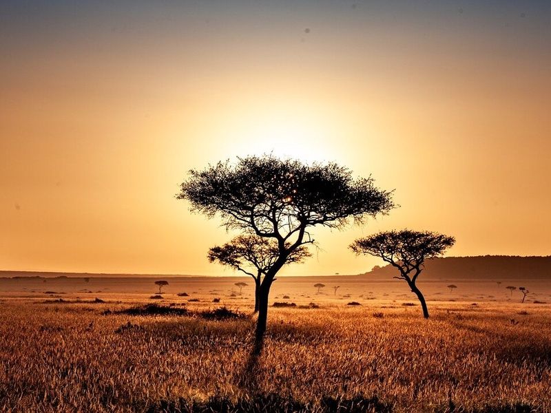 Safari Magie d'Afrique pas cher photo 5