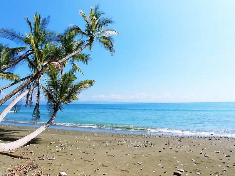Circuit entre Jungles et Forêts du Costa Rica + extension Playa Samara pas cher photo 1